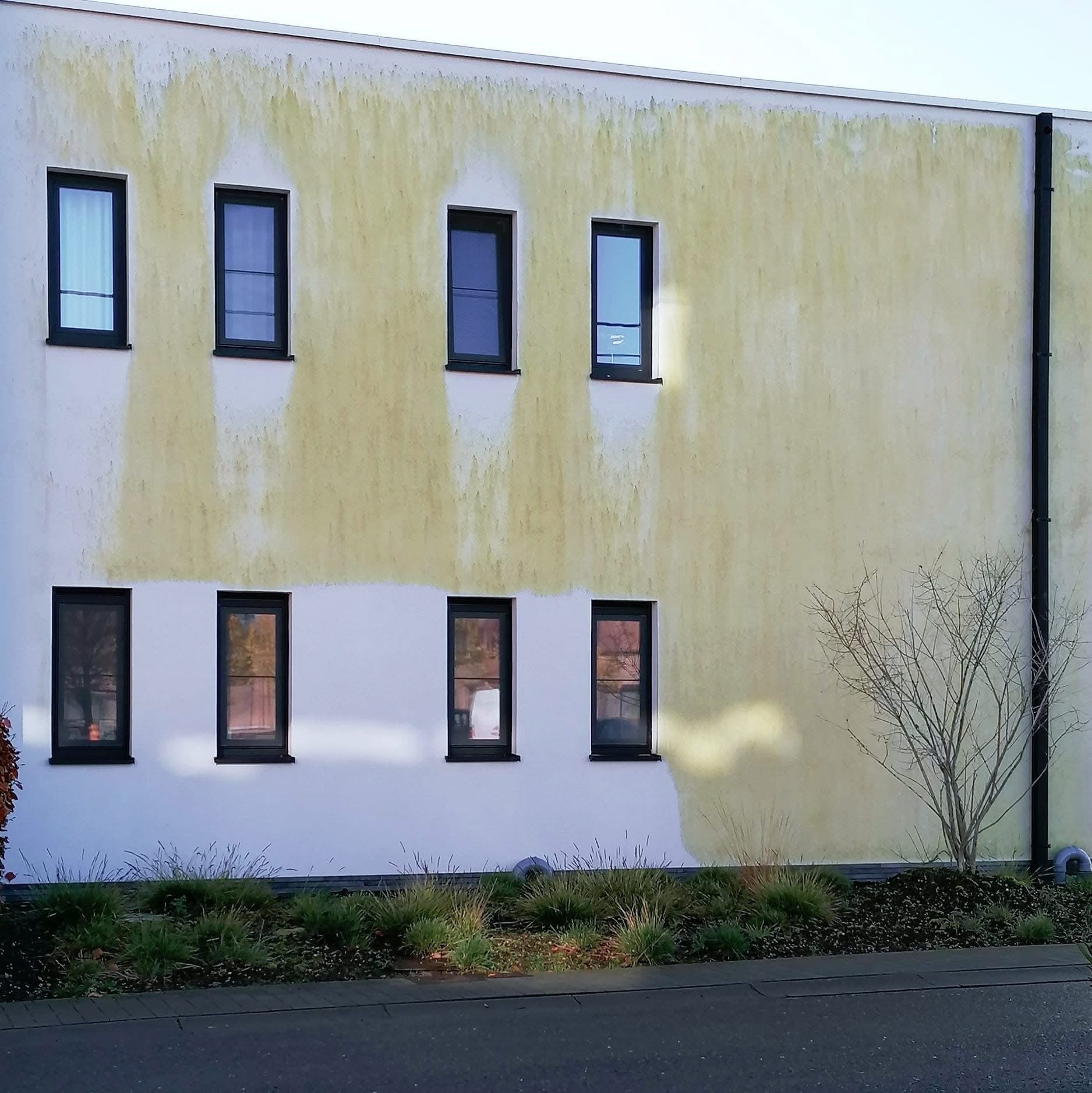 Zware algenaanslag op een moderne gevel, typische situatie voor SoftWash