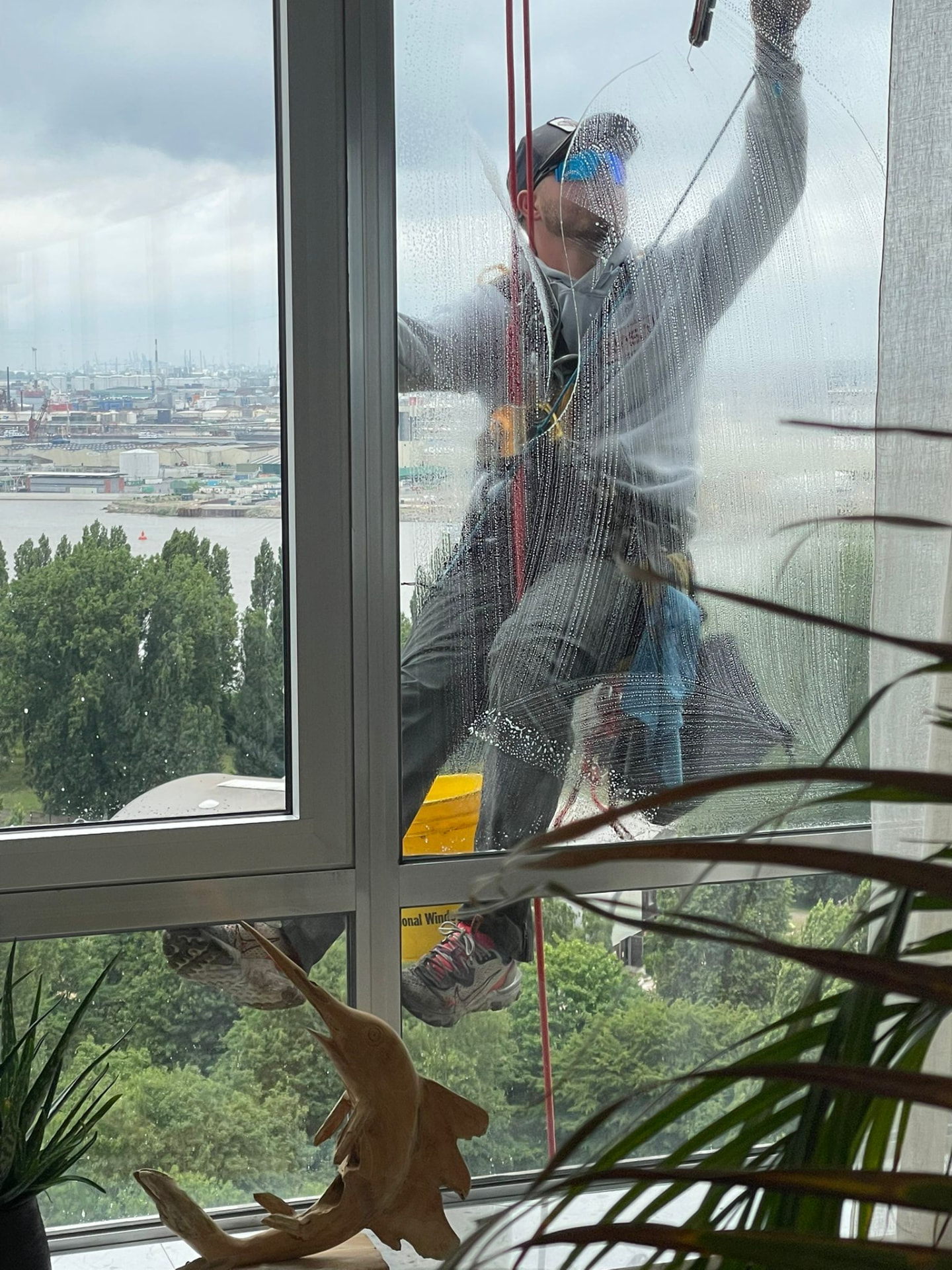Glasbewassing op touw bij hoogbouw met zicht op de Antwerpse haven
